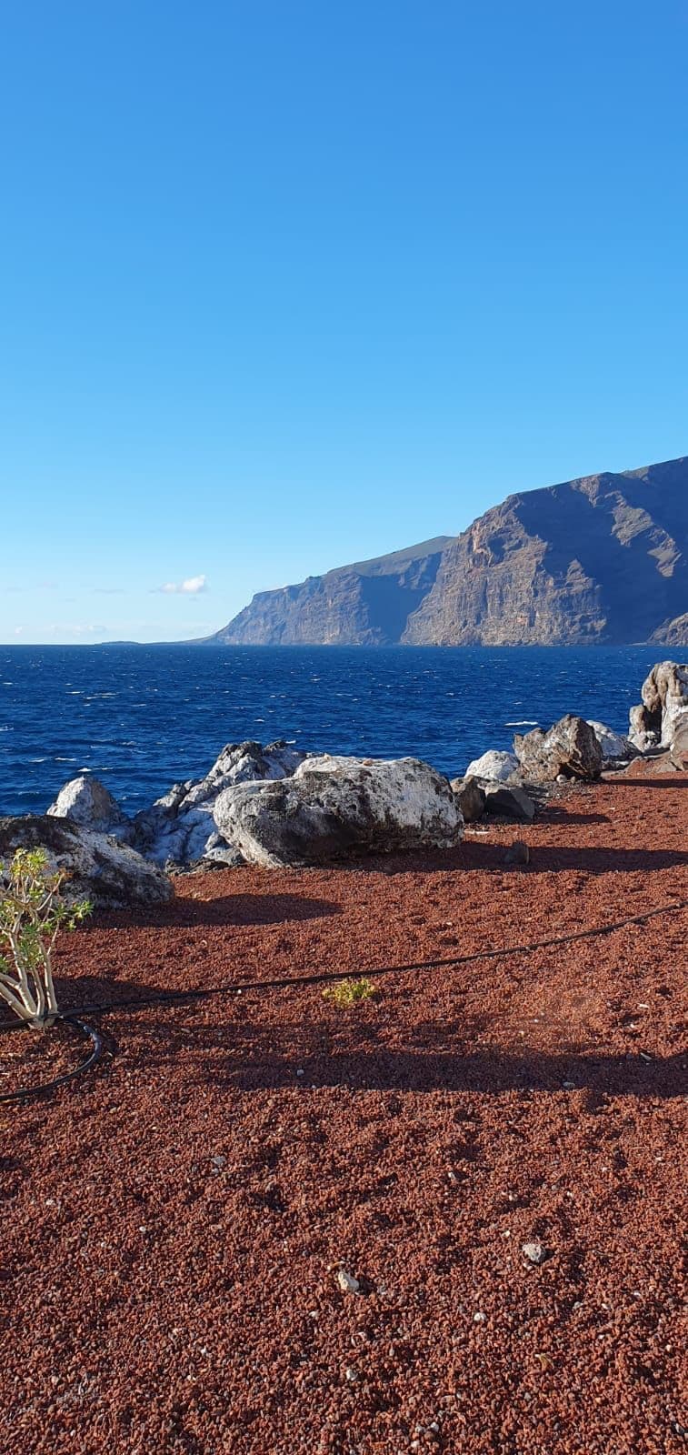 Coast with red earth and cliffs